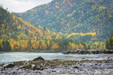 Altay güzel doğası