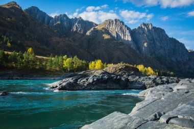 Beautiful nature of Altai clipart
