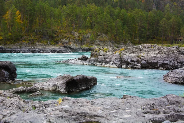 Hermosa Naturaleza Altai —  Fotos de Stock