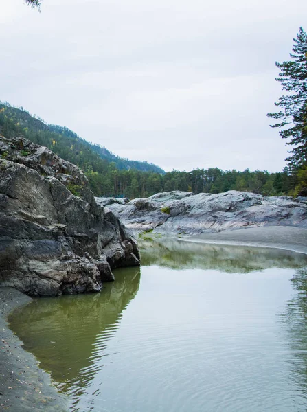 Bela Natureza Altai — Fotografia de Stock