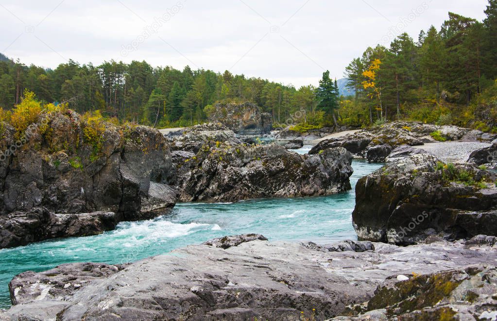 Beautiful nature of Altai