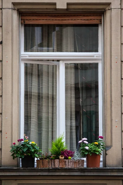 Altes Fenster Deutschland Mit Blumen Einem Grauen Trüben Tag — Stockfoto