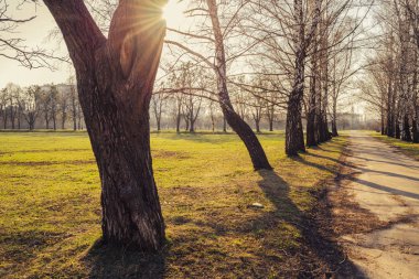 Parkta uzun Nisan gölgeler