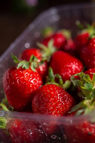 Taze bahar çilek, çiftlikten organik çilek