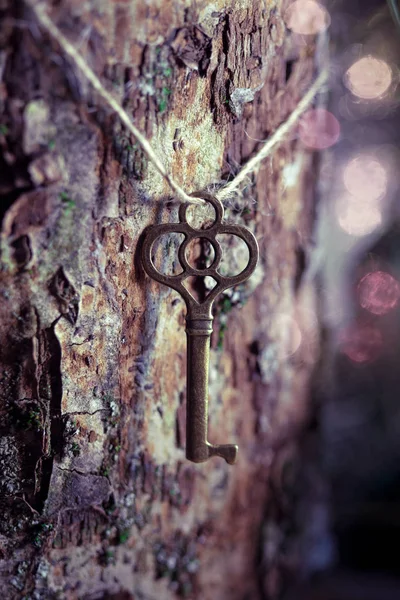 暗い神秘的な森の中の魔法の古代の鍵 — ストック写真