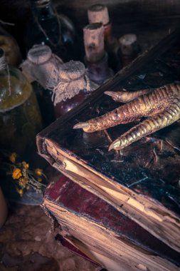 Cadılık malzemesi: çoklu tentür şişeleri, bir yığın kuru sağlıklı ot, antik ritüel kitapları, tılsımlar, mumlar, tavuk ayakları, tıbbi ve sihirli bitkiler.. 