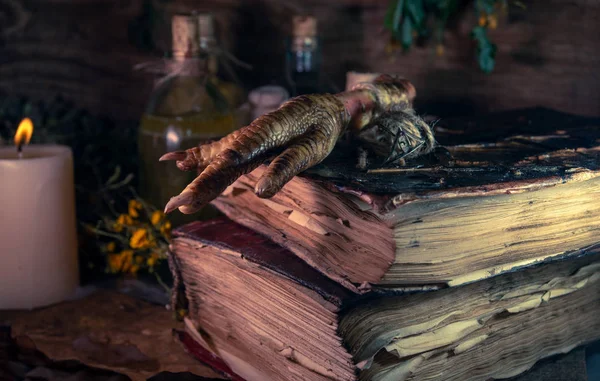 Cadılık Malzemesi Çoklu Tentür Şişeleri Bir Yığın Kuru Sağlıklı Antik — Stok fotoğraf