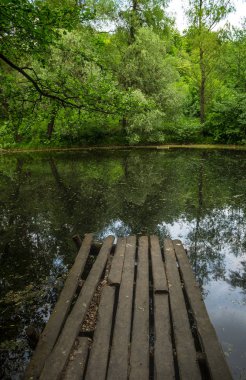 Ormanın derinliklerinde saklı vahşi göl