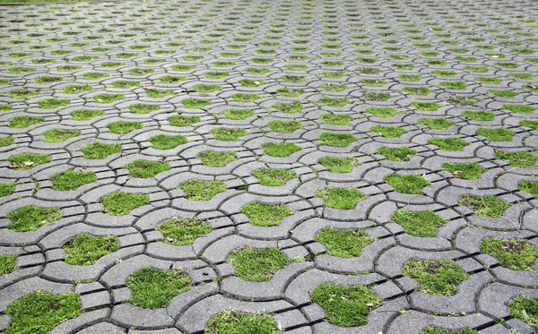 Pavimentación Gris Azulejo Rizado Fondo Con Hierba — Foto de Stock