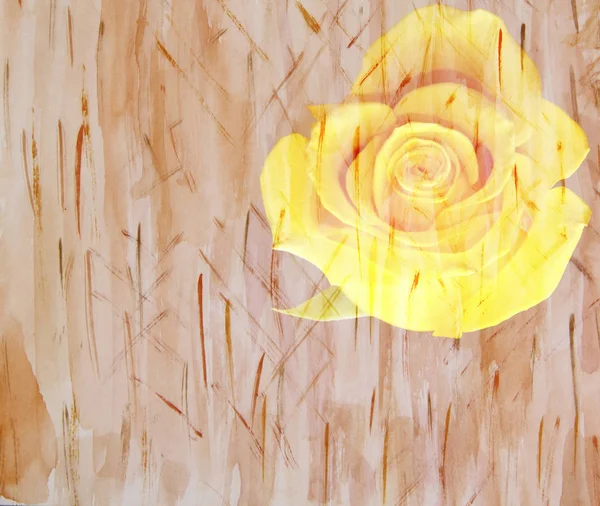 Γραφικό φόντο υδατογραφικών λουλουδιών με κίτρινα τριαντάφυλλα, φτιαγμένα με — Φωτογραφία Αρχείου