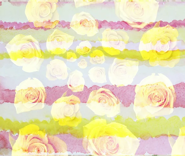 Scenic watercolor flower background with yellow roses, spiral, m — Stock Photo, Image