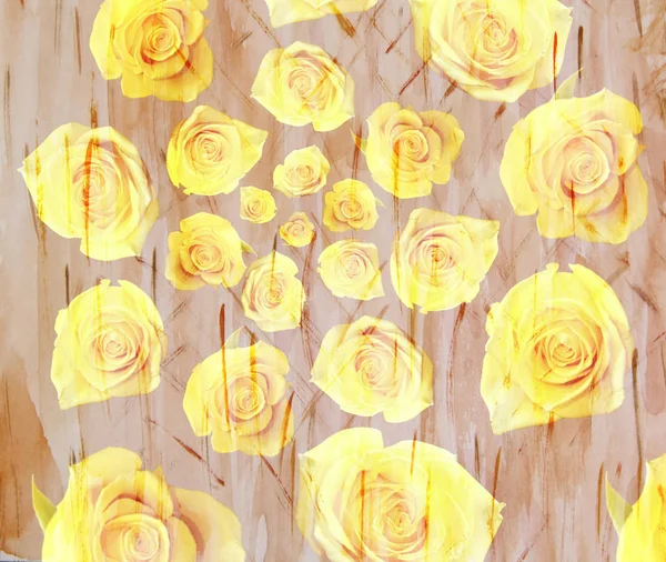 Scenic watercolor flower background with yellow roses, spiral ,m — Stock Photo, Image