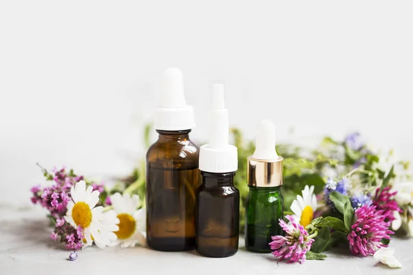 Etherische Oliën Flesjes Met Geneeskrachtige Planten Bloemen Aromatherapie Essentiële Oliën — Stockfoto