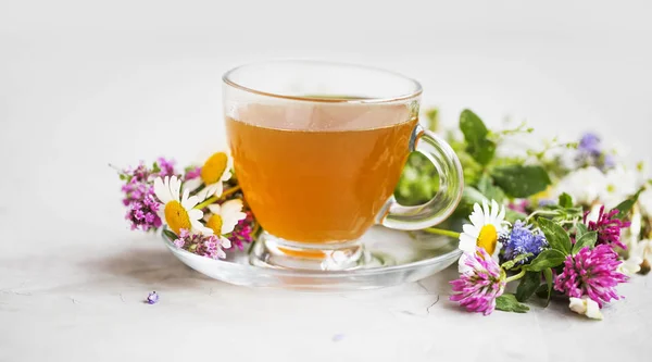 Herbaty Ziołowe Leczniczych Roślin Kwiatów Filiżanka Herbaty Ziołowe — Zdjęcie stockowe
