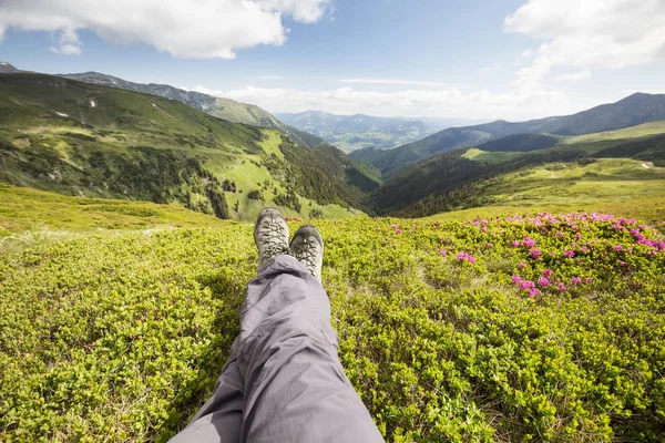 Dağ Hiking. Uzun yürüyüşe çıkan kimse ayak tepenin üstünde dinlenme. Güzel doğa manzaralı ormangülü çiçek ile