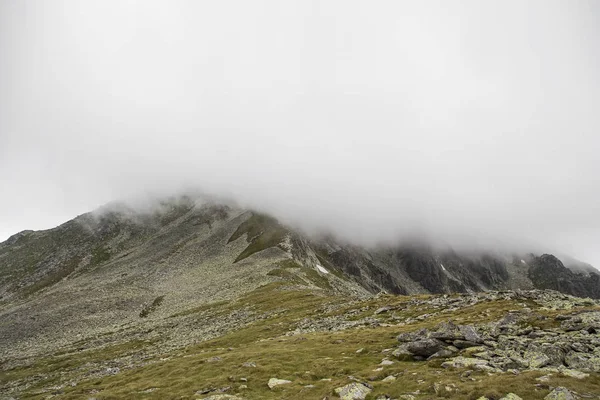 Foggy mountain peaks landscape, beautiful nature wilderness scenic view, moody style , Carpathian Mountains