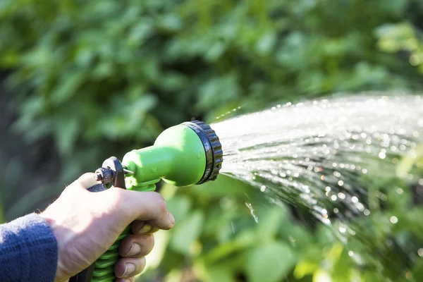 Watering Garden Hand Holding Water Sprinkler Watering Garden — Stock Photo, Image