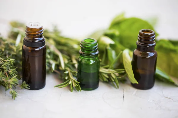 Feuilles Plantes Vertes Bouteilles Huile Essentielle Aux Herbes Épicées Romarin — Photo