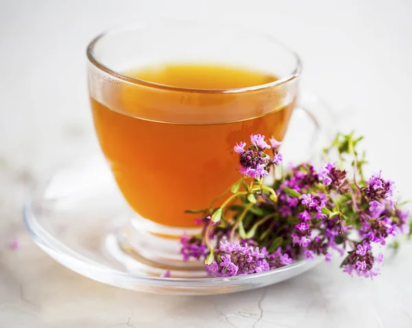 Чашка Чая Тимьяна Тимьяном Здоровый Травяной Лечебный Чай — стоковое фото