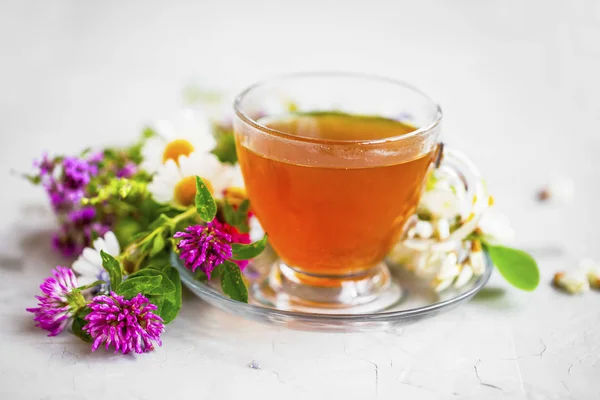 さまざまな薬効がある植物と花の新鮮なお茶のカップ — ストック写真