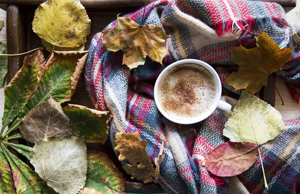 Copo Café Outono Com Cobertor Acolhedor Folhas Secas Uma Bandeja — Fotografia de Stock