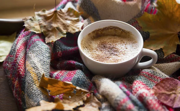 Tazza Caffè Autunnale Con Accogliente Coperta Foglie Secche — Foto Stock