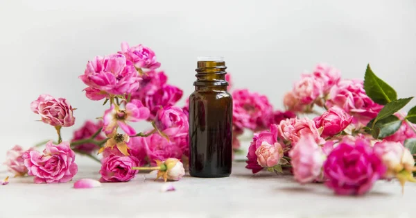 Botella Aceite Rosa Para Aromaterapia Spa Con Flores Rosas Entorno —  Fotos de Stock