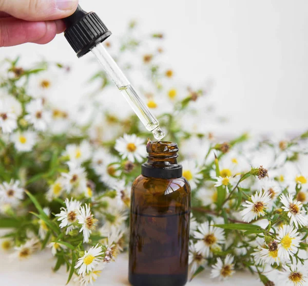 Aromatherapie Olie Wild Chamomille Olie Fles Druppelaar Etherische Olie Extract — Stockfoto