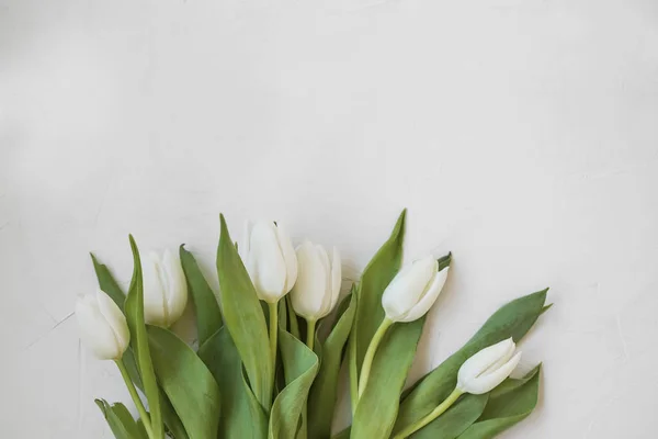 Buquê Tulipas Brancas Com Espaço Cópia Vista Superior Primavera Dia — Fotografia de Stock