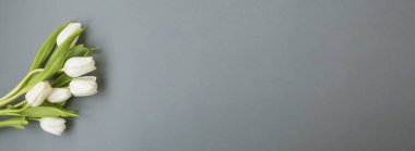 Kopya alanı, üstten görünüm ile gri arka plan üzerinde beyaz laleler buket bahar çiçekleri