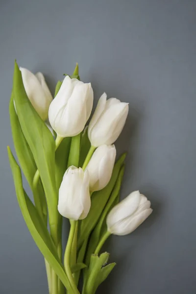 White Tulips Bouquet Spring Flowers Grey Background Still Life Spring — Stock Photo, Image