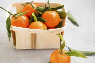 Yaprakları ile sağlıklı organik clementines taze clementines narenciye bir sepet içinde