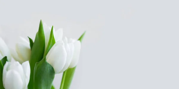 Weiße Tulpen Strauß Auf Beton Hintergrund Kopierraum Frühling Urlaub Grußkarte — Stockfoto
