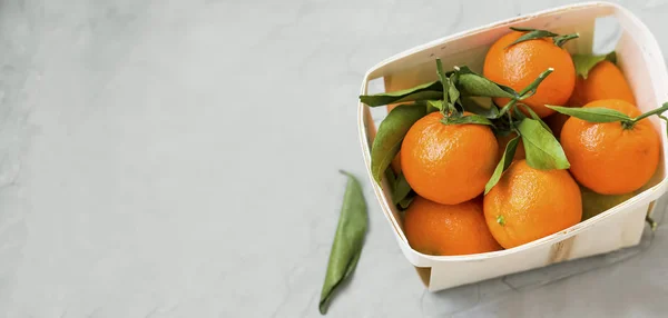 Klementynki Świeżych Owoców Cytrusowych Koszu Miejsca Kopiowania Zdrowe Organiczne Klementynki — Zdjęcie stockowe