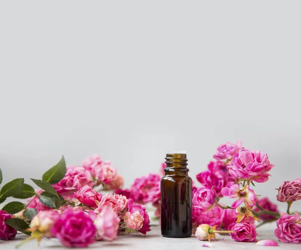 Roos olie. Spa en aromatherapie roze bloemen etherische olie fles — Stockfoto