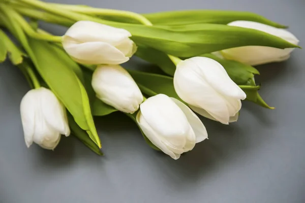 Букет цветов из белых тюльпанов на сером фоне, весенний косметолог — стоковое фото