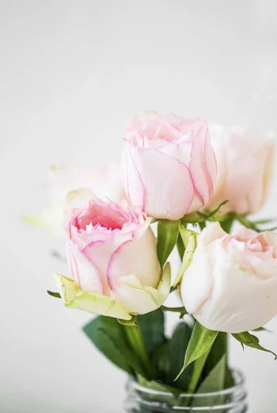 Pink roses bouquet, soft delicate roses closeup, spring roses bo — Stock Photo, Image