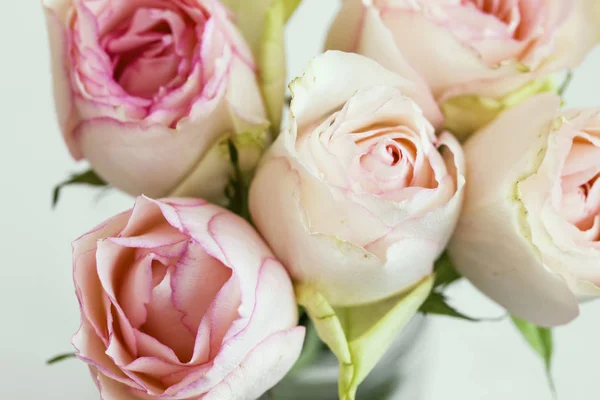 Ramo de rosas rosadas, rosas delicadas suaves primer plano, rosas de primavera bo — Foto de Stock