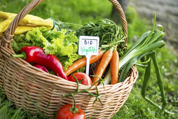 Cesta de verduras bio en el jardín con etiqueta de verduras bio — Foto de Stock