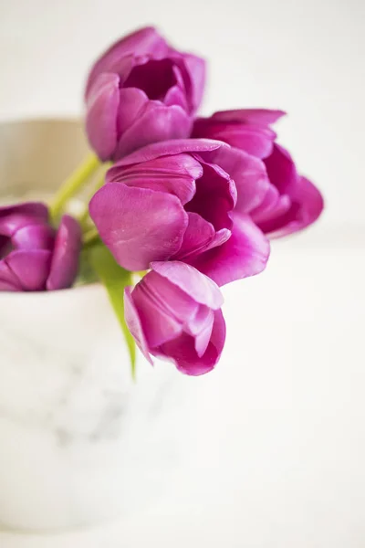 Buquê de tulipas roxas closeup em vaso ainda vida — Fotografia de Stock