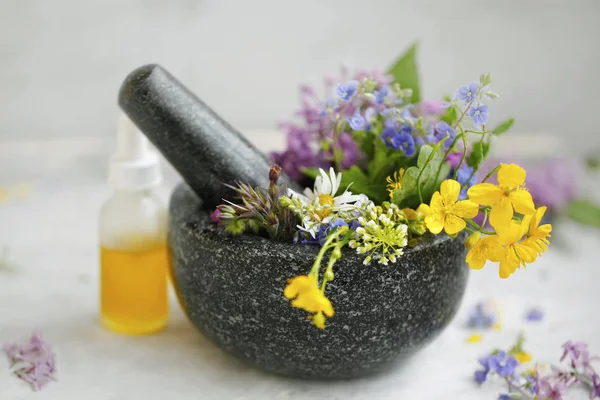 Aromaterapia. Plantas medicinais naturais e ervas em um mojar com Fotos De Bancos De Imagens