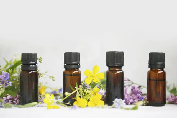Ароматерапия растительные эфирные масляные бутылки с растениями и цветами Стоковое Изображение