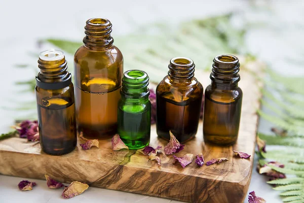 Olejové láhve s květinami a zelenými listy, botanika — Stock fotografie
