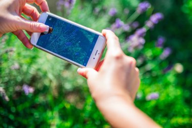 Genç kadın ile onun smartphone, açık havada doğa fotoğrafçılığı telefon kamera ile çekim