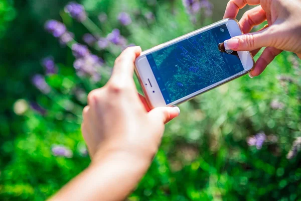 Genç kadın ile onun smartphone, açık havada doğa fotoğrafçılığı telefon kamera ile çekim