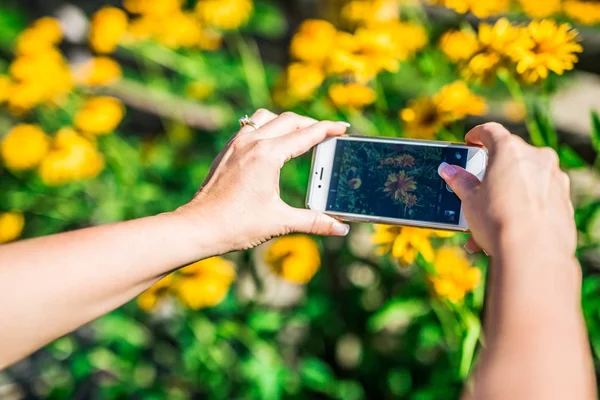Genç kadın ile onun smartphone, açık havada doğa fotoğrafçılığı telefon kamera ile çekim