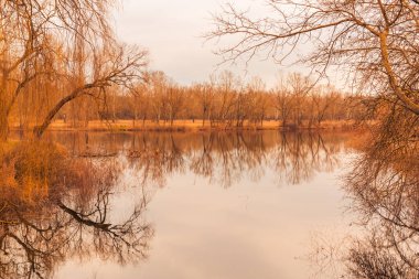 Sonbahar göl manzara. Dramatik ağaçların yaprakları ve göl yansıma olmadan