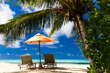 Lüks yaz tatil kavramı. Şezlong ve şemsiye ile palmiye ağaçları ve mükemmel deniz manzaralı, Web sitesi şablonu plaj ve kaçış için. Lüks seyahat etmek yaz tatil tasarımı