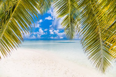 İnanılmaz bir manzara, rahatlatıcı plaj, tropikal manzara. Yaz tatili tatil tasarımı. Lüks seyahat konsepti. Sahil doğası, gezici turizm afişi