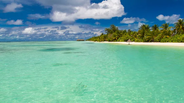 Tropical beach for vacation and holiday destination. Summer mood on tropical landscape. Beach nature, blue sea, blue sky and white sand. Amazing beach scene